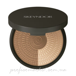 Универсальная ультрамягкая пудра/хайлайтер/консиллер Skeyndor Skincare Makeup